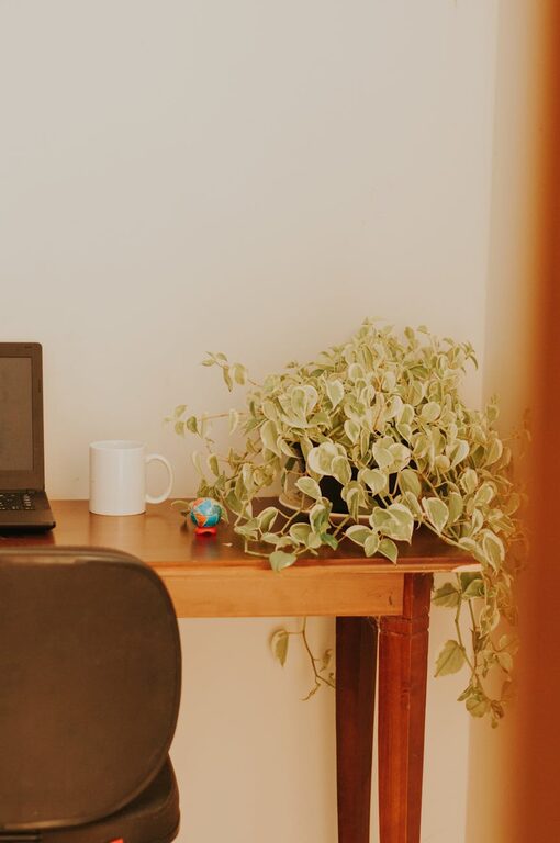 Tips for Creating a Cozy and Inviting Home Office Space